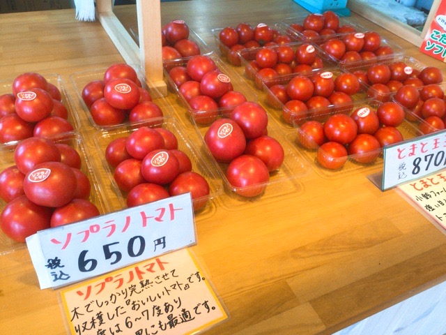 f:id:nekozanaruri:20210609234426j:plain