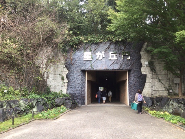 f:id:nekozanaruri:20211024234455j:plain