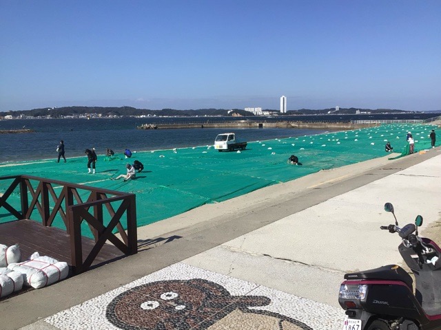 f:id:nekozanaruri:20211029101535j:plain
