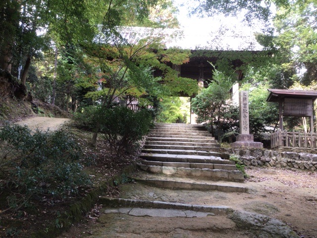 f:id:nekozanaruri:20211111232018j:plain