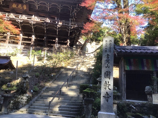 f:id:nekozanaruri:20211111232512j:plain