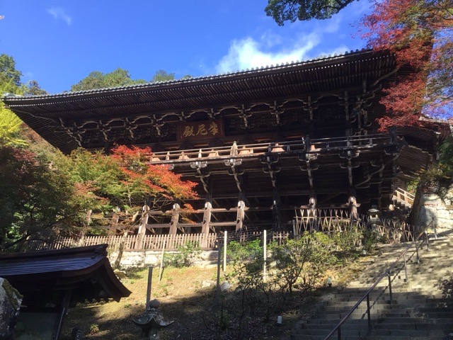 f:id:nekozanaruri:20211111232602j:plain