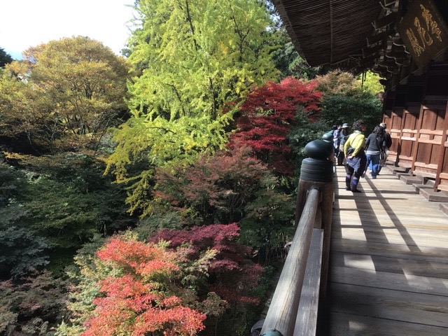 f:id:nekozanaruri:20211111232645j:plain