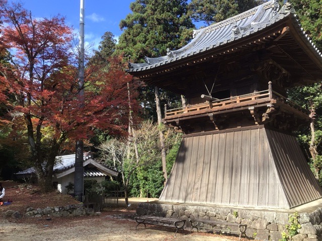 f:id:nekozanaruri:20211111233625j:plain