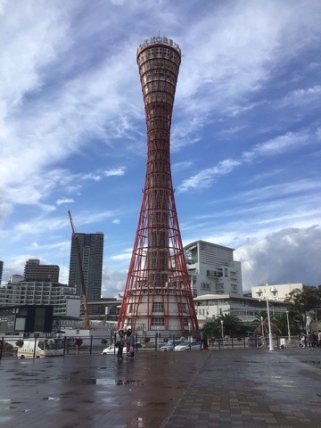 f:id:nekozanaruri:20211113003938j:plain