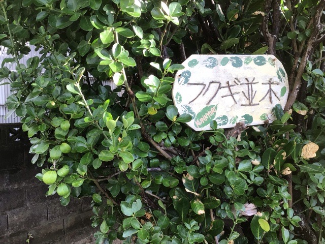 f:id:nekozanaruri:20211122000736j:plain