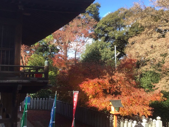 f:id:nekozanaruri:20211213232859j:plain