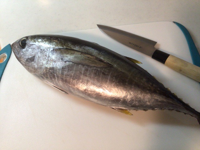f:id:nekozanaruri:20211220000922j:plain