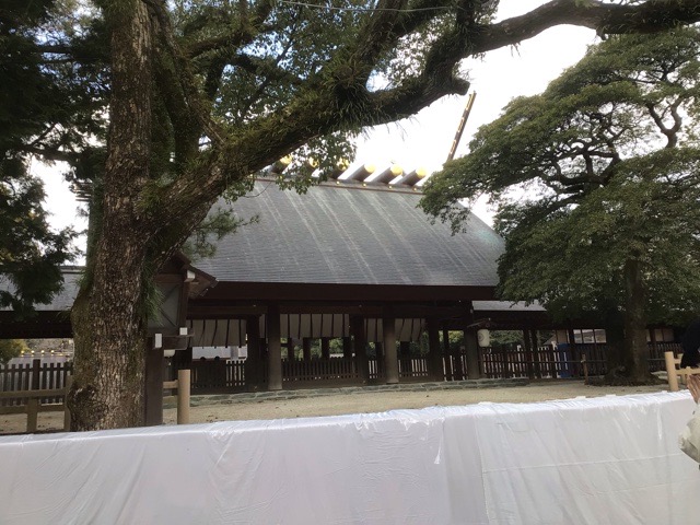 f:id:nekozanaruri:20220114013423j:plain