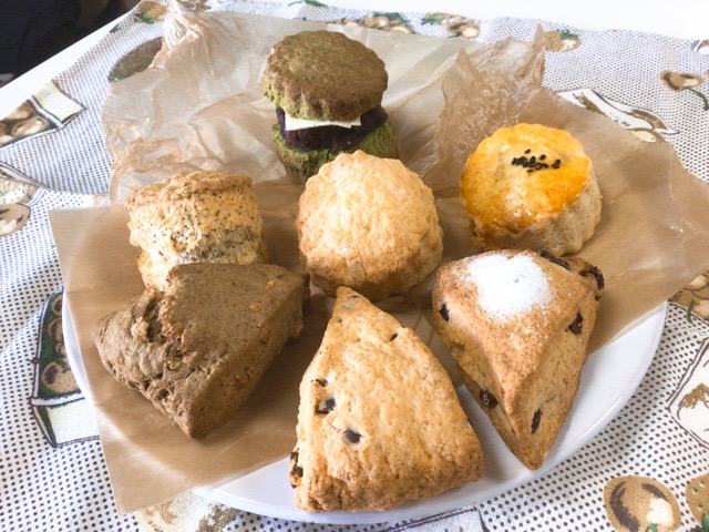 f:id:nekozanaruri:20220122230206j:plain