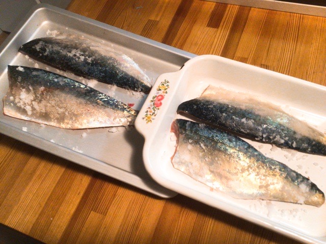 f:id:nekozanaruri:20220224020814j:plain