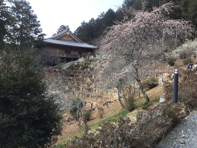 f:id:nekozanaruri:20220313010650j:plain