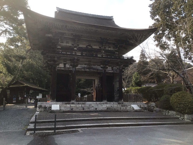 f:id:nekozanaruri:20220313012726j:plain