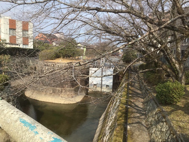 f:id:nekozanaruri:20220313014135j:plain