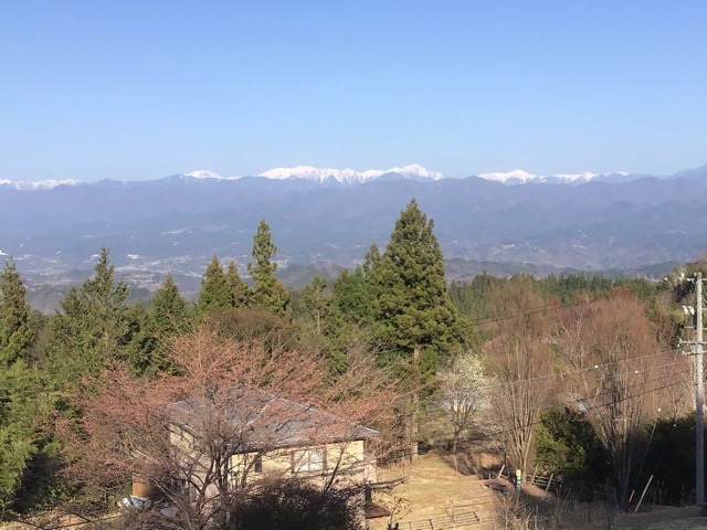 f:id:nekozanaruri:20220409011645j:plain