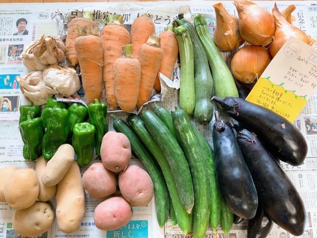 楽天市場】野菜ネット 10枚 10kg用 野菜の保存に適したメッシュ