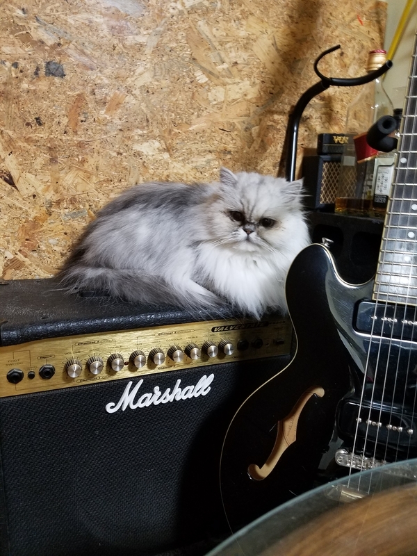 f:id:nekozukiotomen:20190807153357j:plain