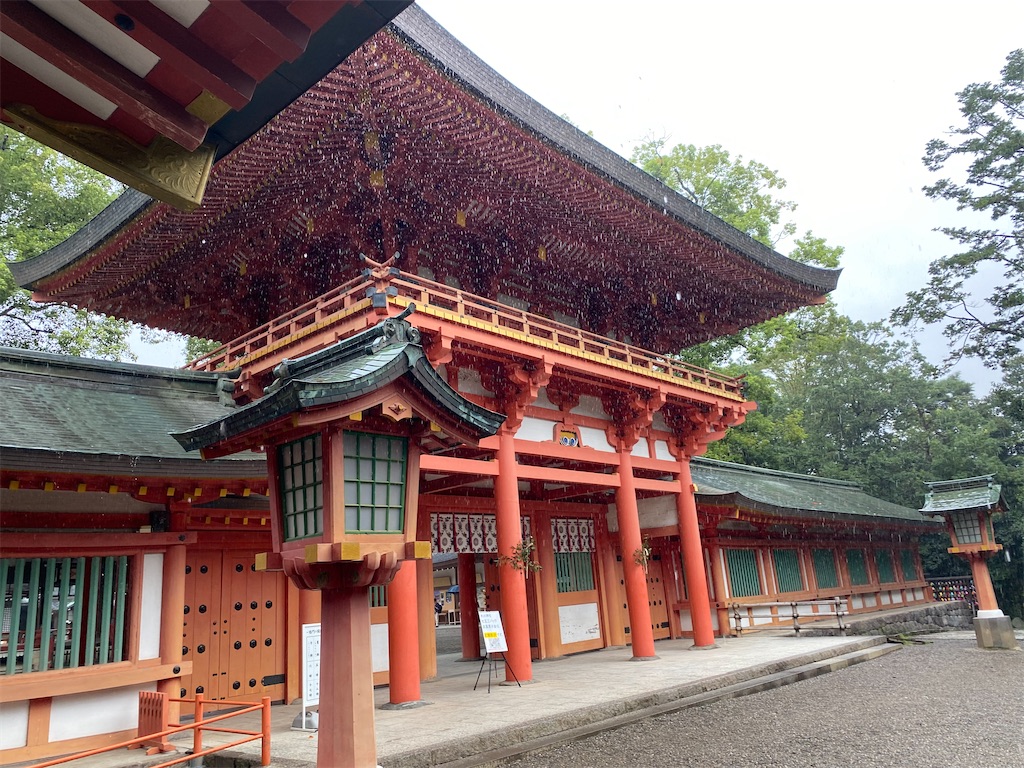 f:id:nekuraku:20240920231757j:image