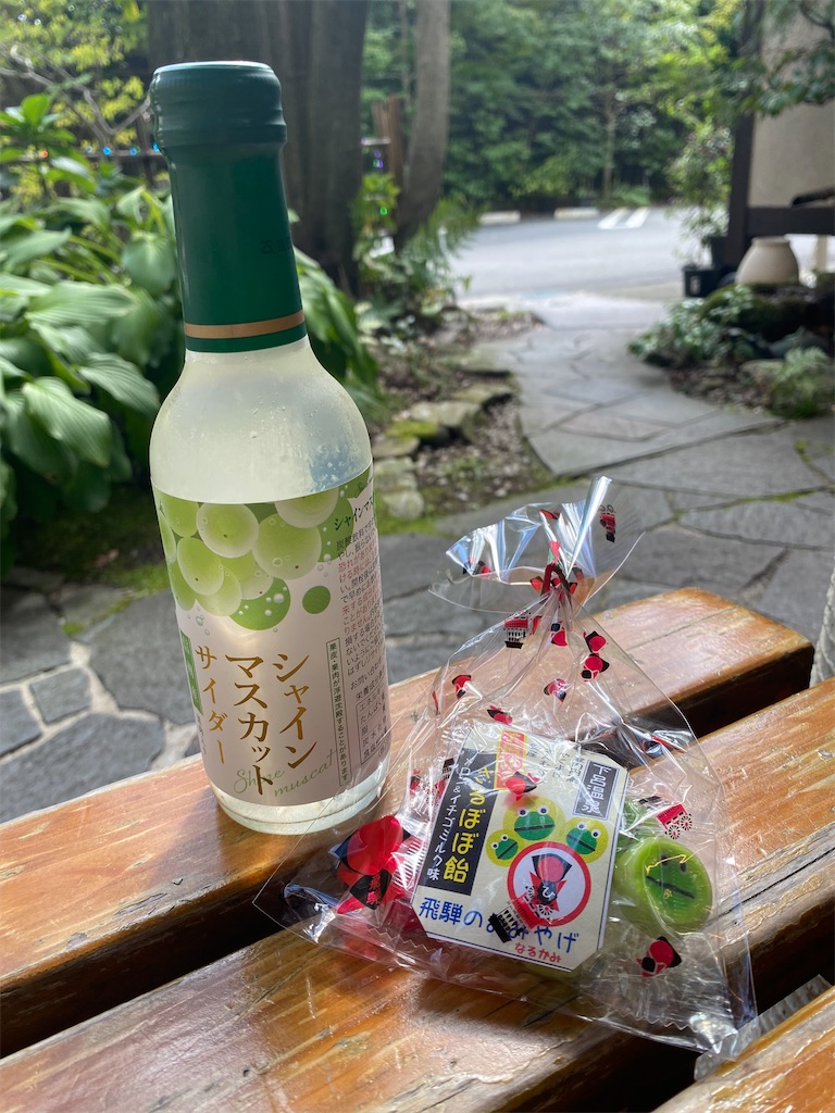 f:id:nekuraku:20241030221300j:image