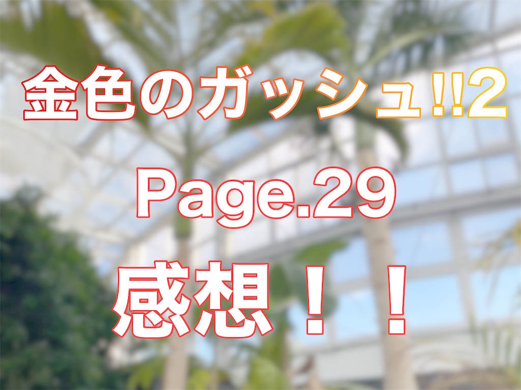 f:id:nekuraku:20250211123316j:image