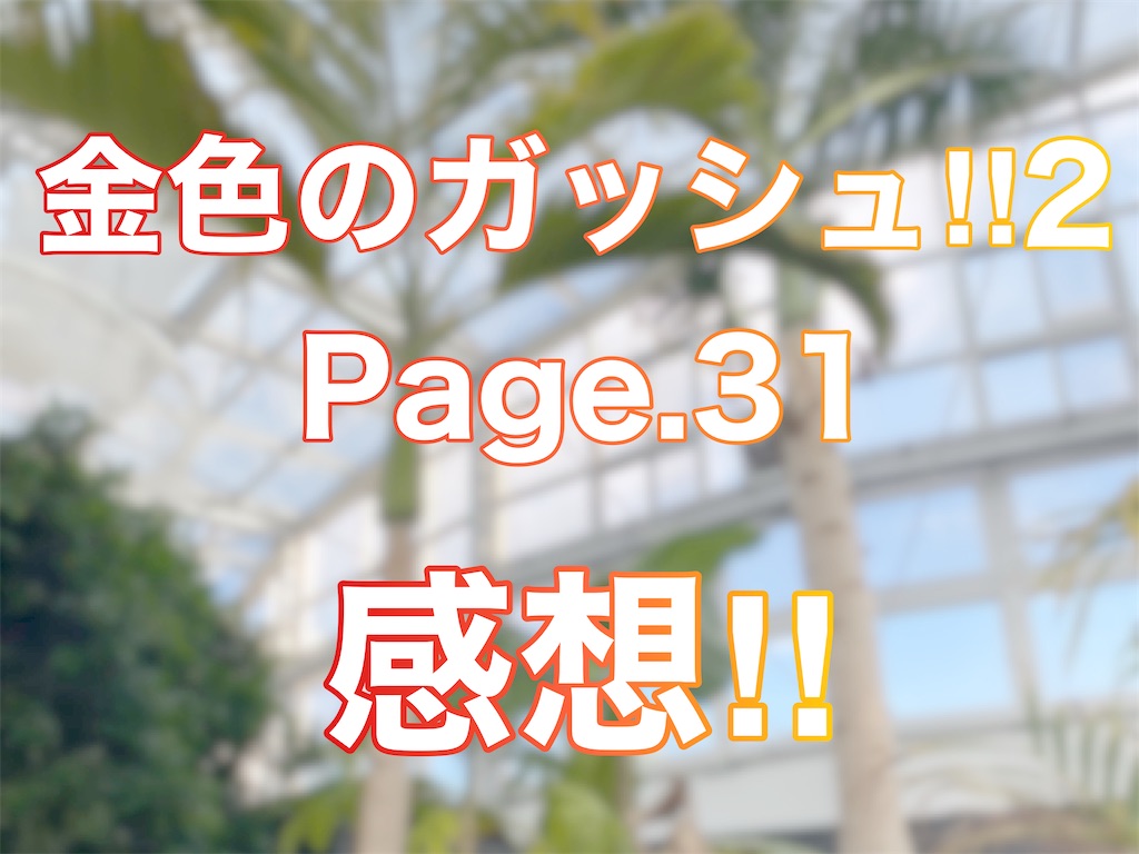 f:id:nekuraku:20250614003129j:image