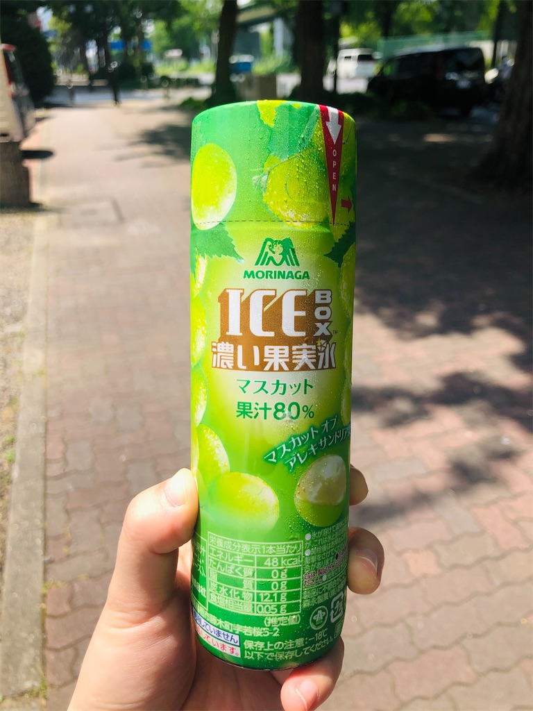 f:id:nekzame:20210602165703j:image f:id:nekzame:20210602165703j:image