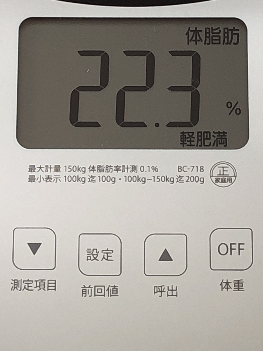 f:id:nelsonforest:20190506113119j:plain