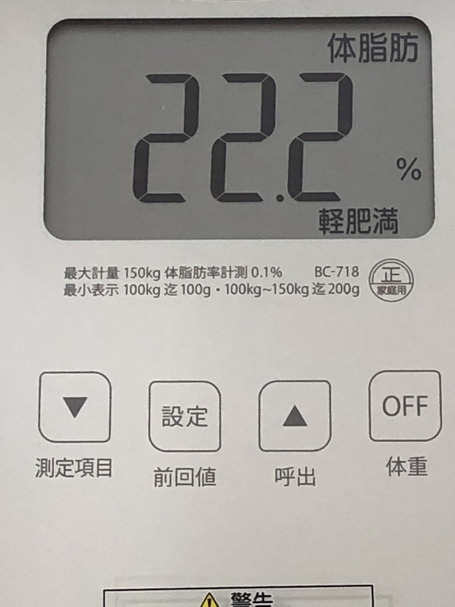 f:id:nelsonforest:20190507232130j:plain