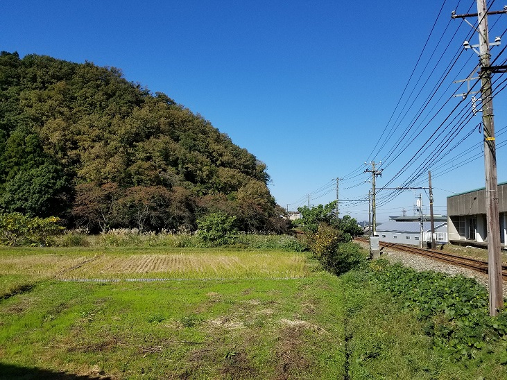 イメージ 1