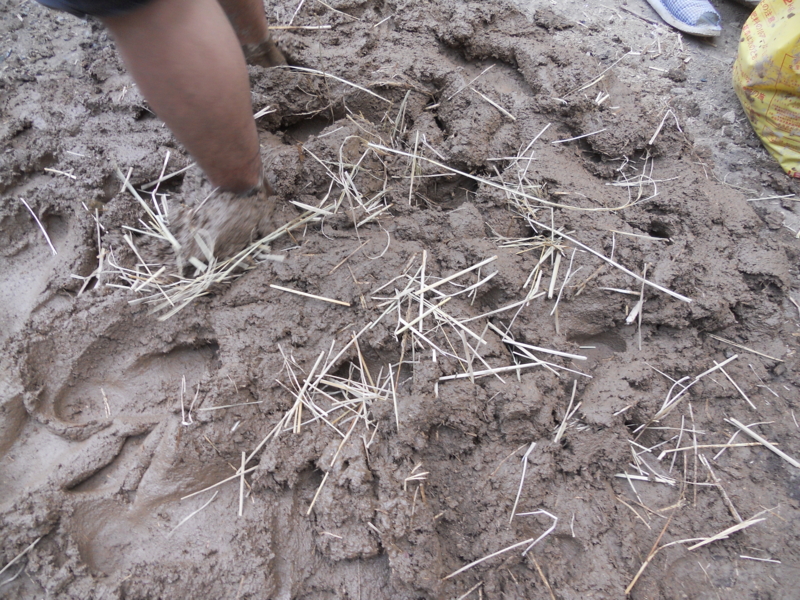 f:id:nemariya77:20100807164609j:image f:id:nemariya77:20100807164609j:image