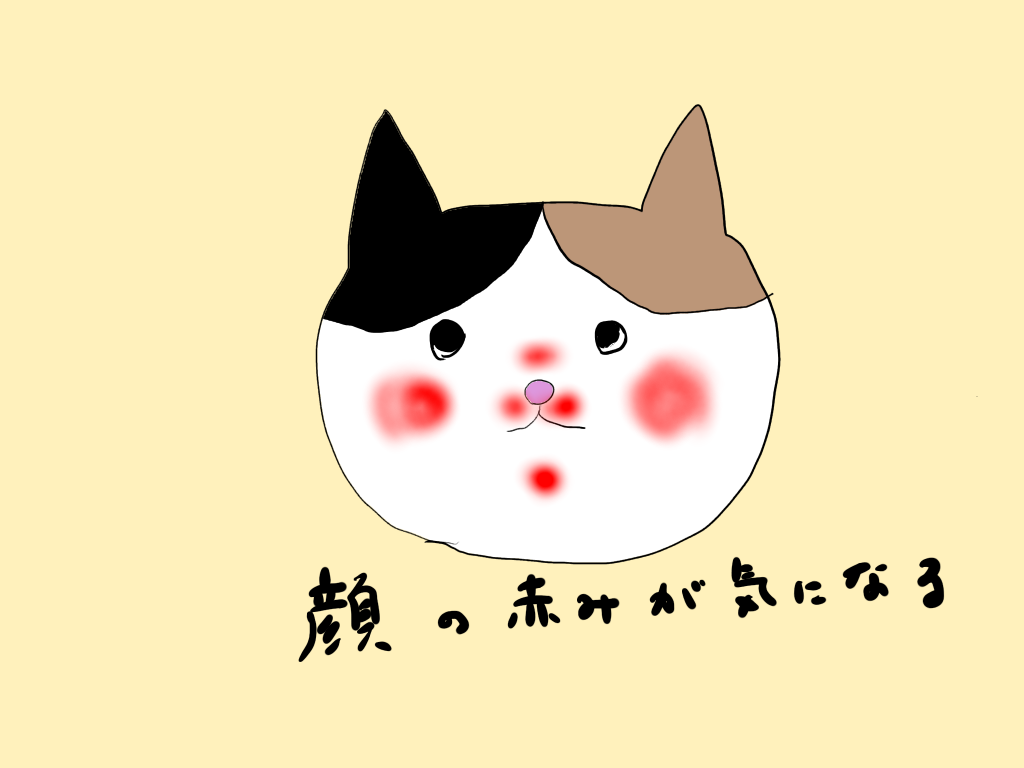 肌ガチャ 皮膚科で顔の毛穴がふつうの4倍あると言われた せめて尻だったら ねむみのコンプレックス解消ブログ