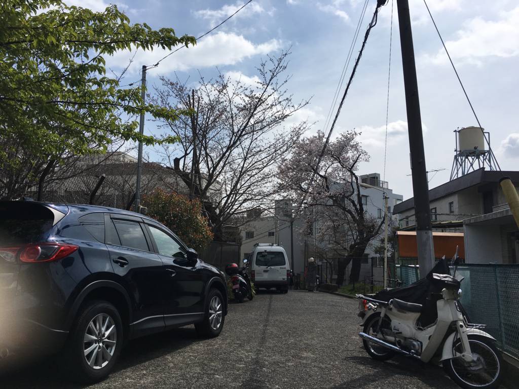 桜の時期に秒速5センチメートルのロケ地を歩いてみた モウソウの森 桜の時期に秒速5センチメートルのロケ地を歩いてみた モウソウの森