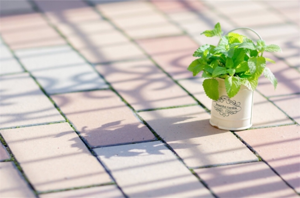 f:id:nemikky:20190301015252j:image