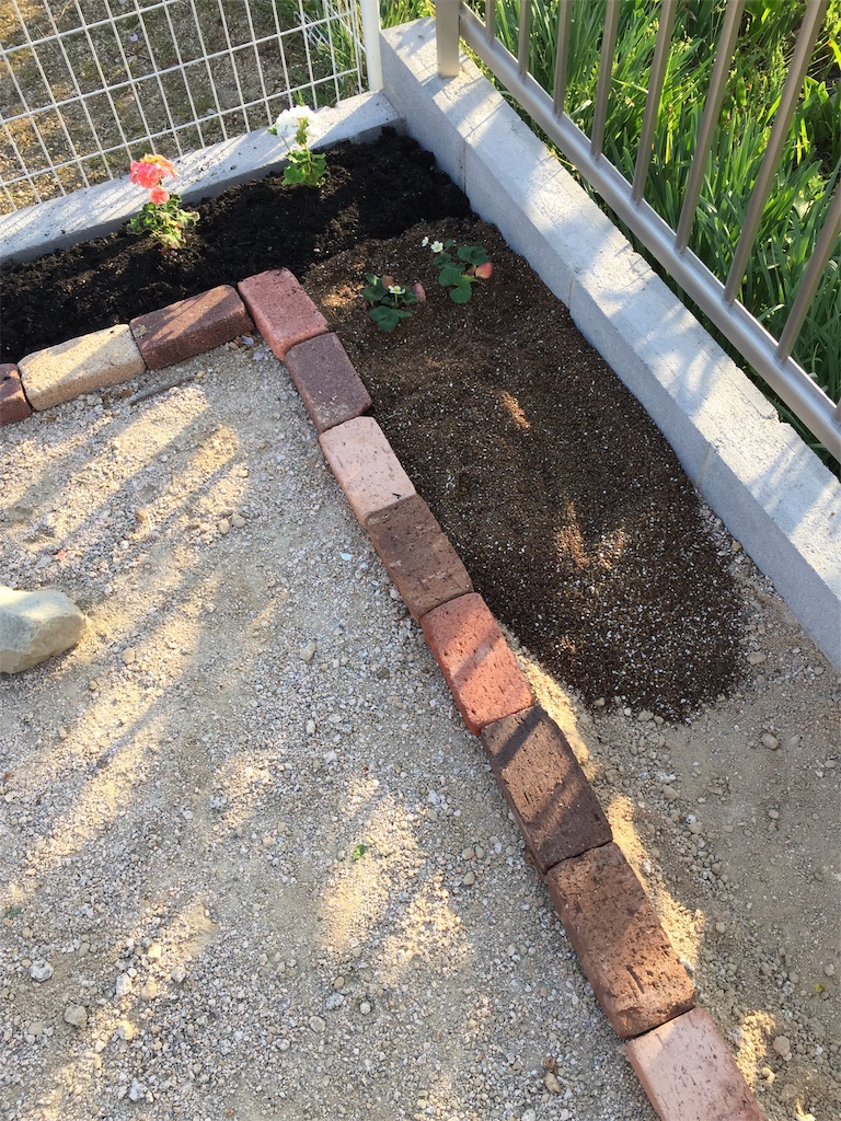 f:id:nemikky:20190420140818j:image