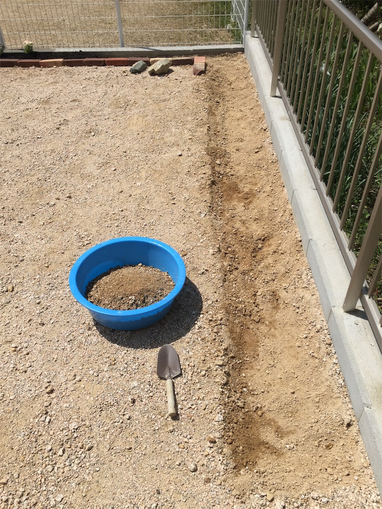 f:id:nemikky:20190420140826j:image