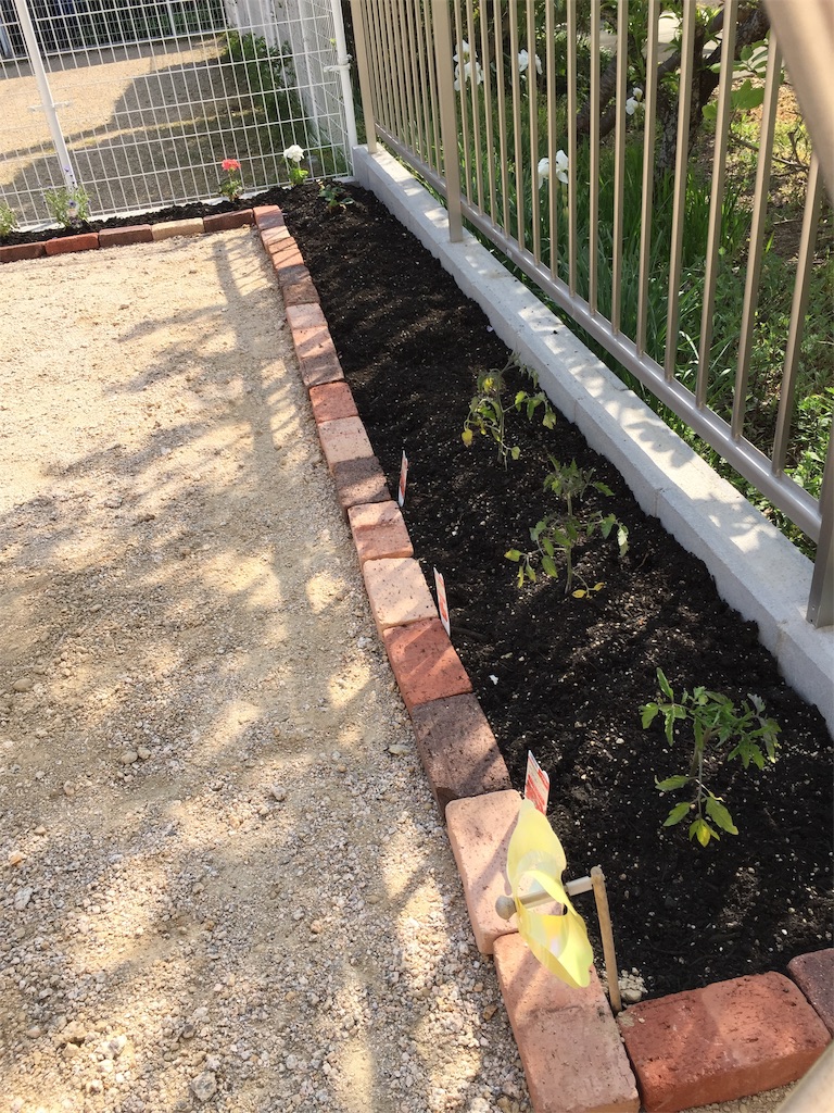 f:id:nemikky:20190420153028j:image