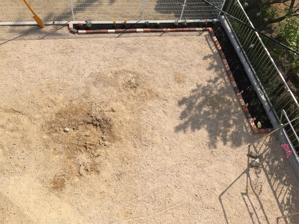 f:id:nemikky:20190420153036j:image