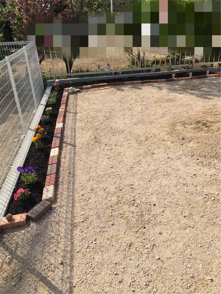 5月の家庭菜園 家庭菜園を始めて2ヶ月経ちました ローコストで夏涼しく冬暖かい家づくり