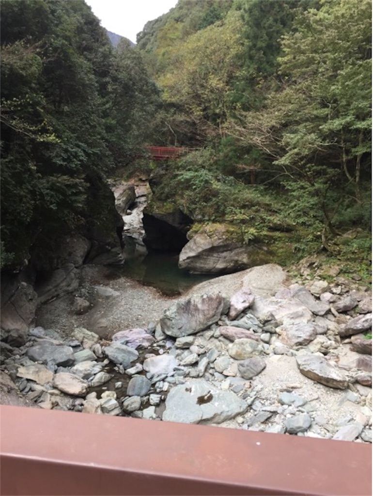 f:id:nemikky:20191111232727j:image