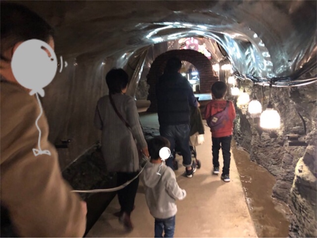 f:id:nemikky:20191112004919j:image