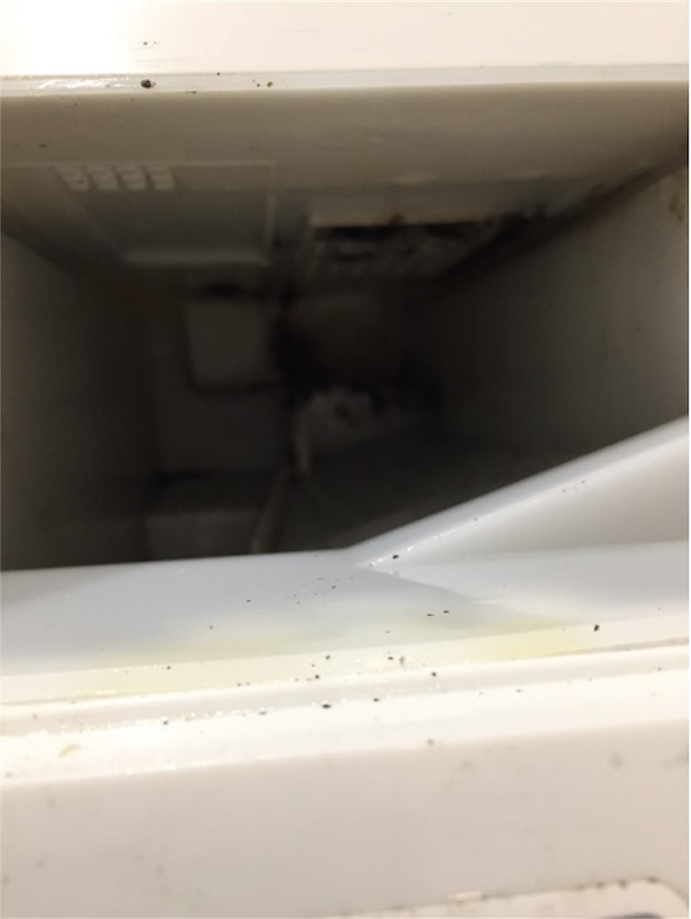 f:id:nemikky:20191121123443j:image