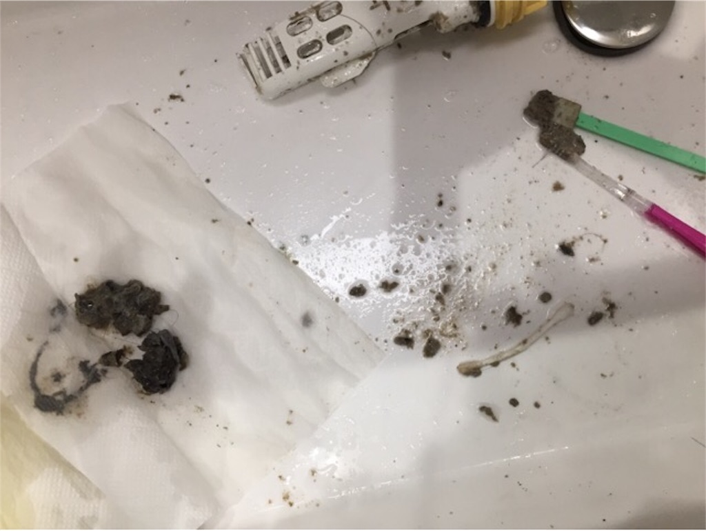 f:id:nemikky:20191121125443j:image