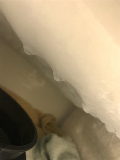 f:id:nemnemlog:20180228040038j:image