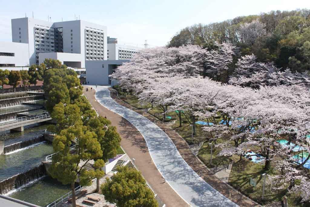 中央大学 学部別キャラ分析 クソ記事 夢で高く翔んだ