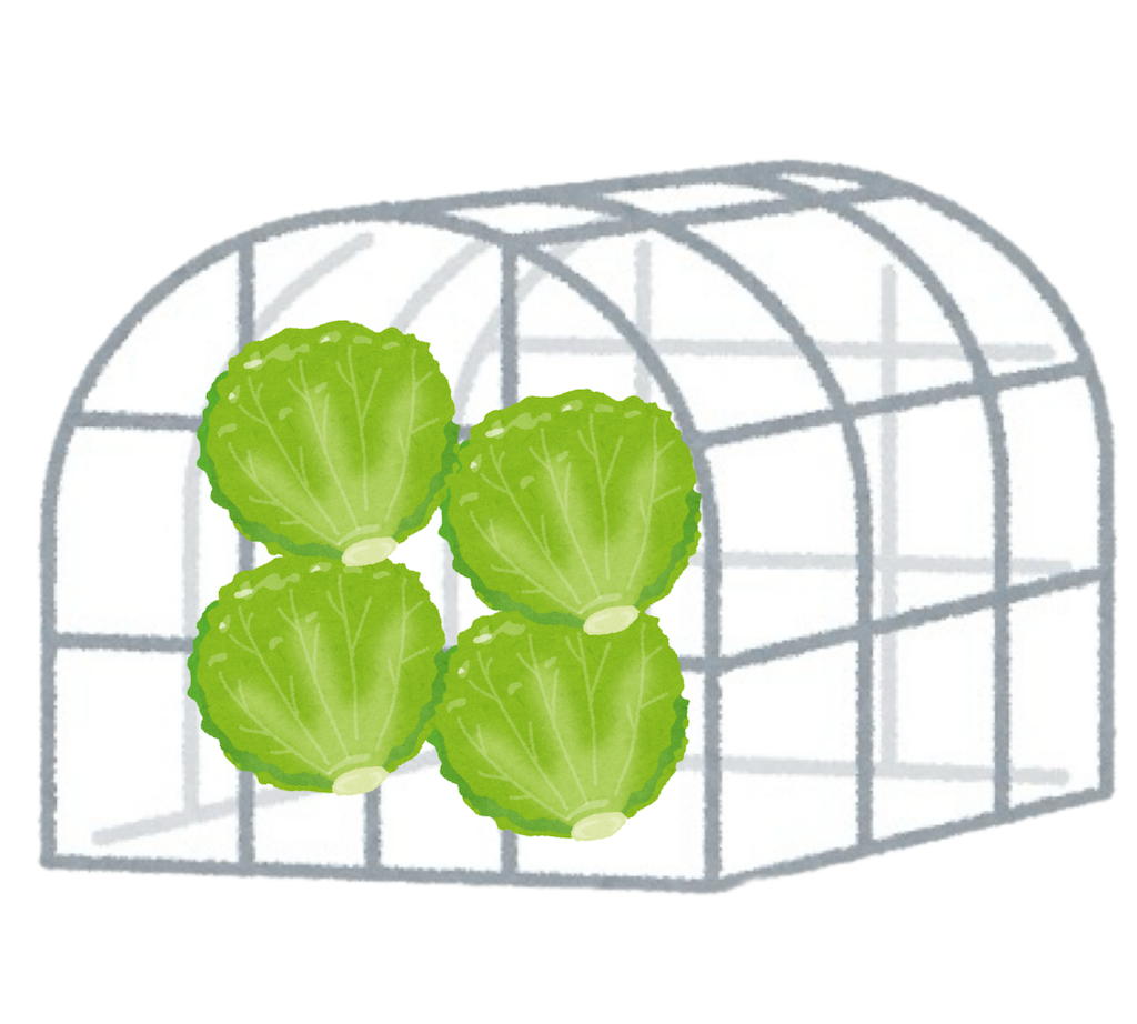 f:id:nemo1016o:20250306002028p:image f:id:nemo1016o:20250306002028p:image