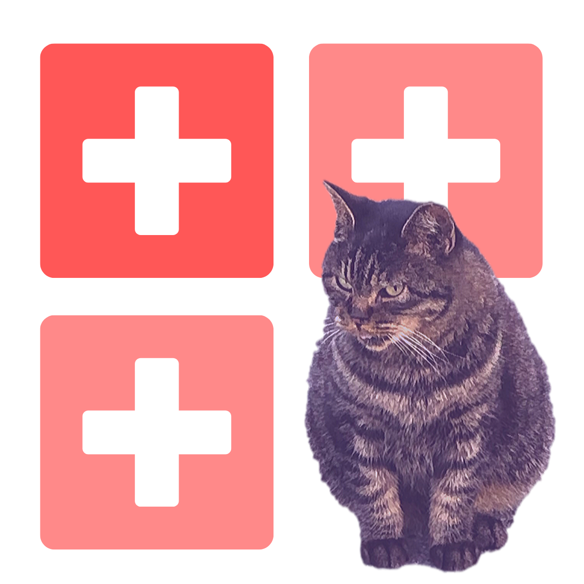 f:id:nemo_zzz:20191005182746p:plain f:id:nemo_zzz:20191005182746p:plain