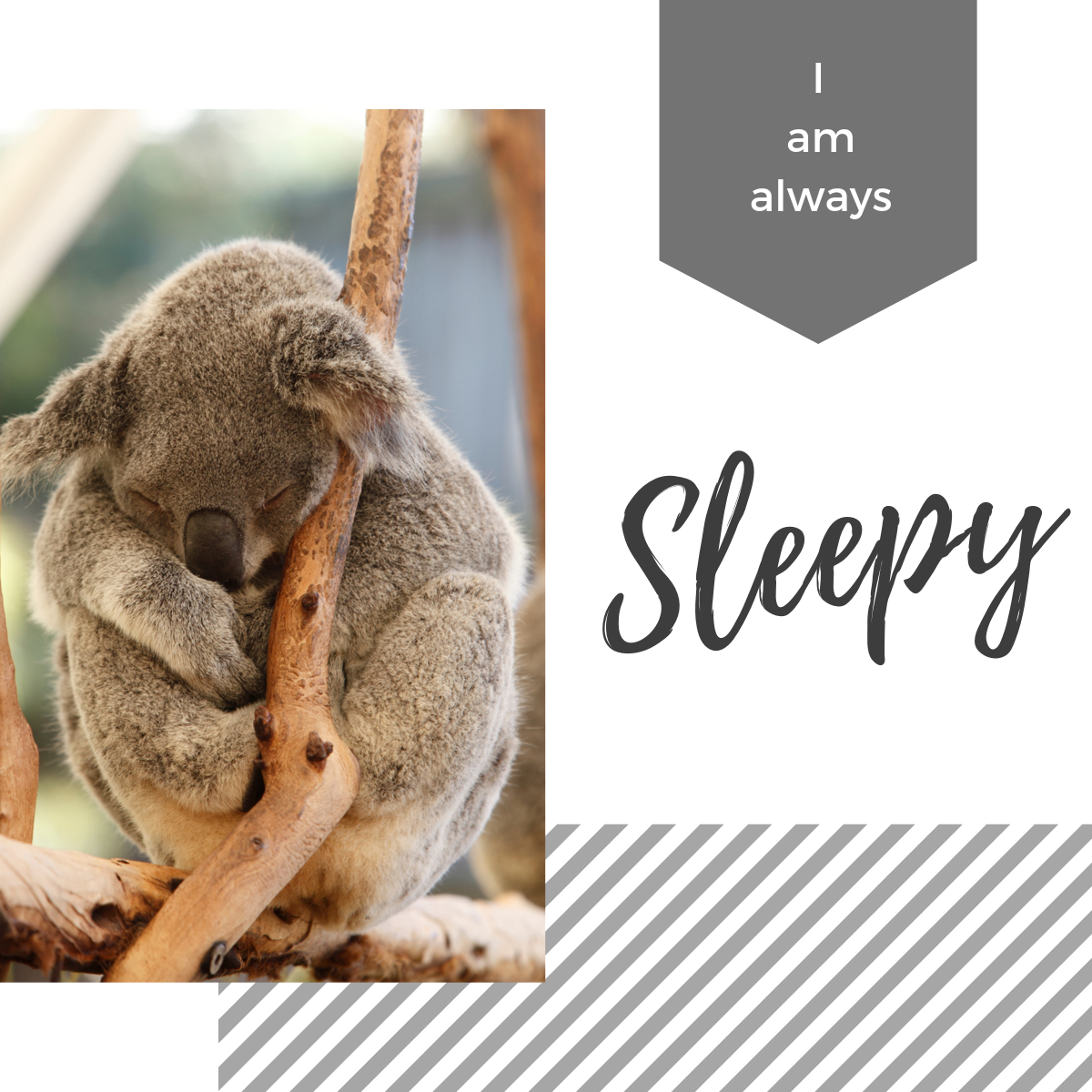 f:id:nemo_zzz:20191008202733p:plain f:id:nemo_zzz:20191008202733p:plain