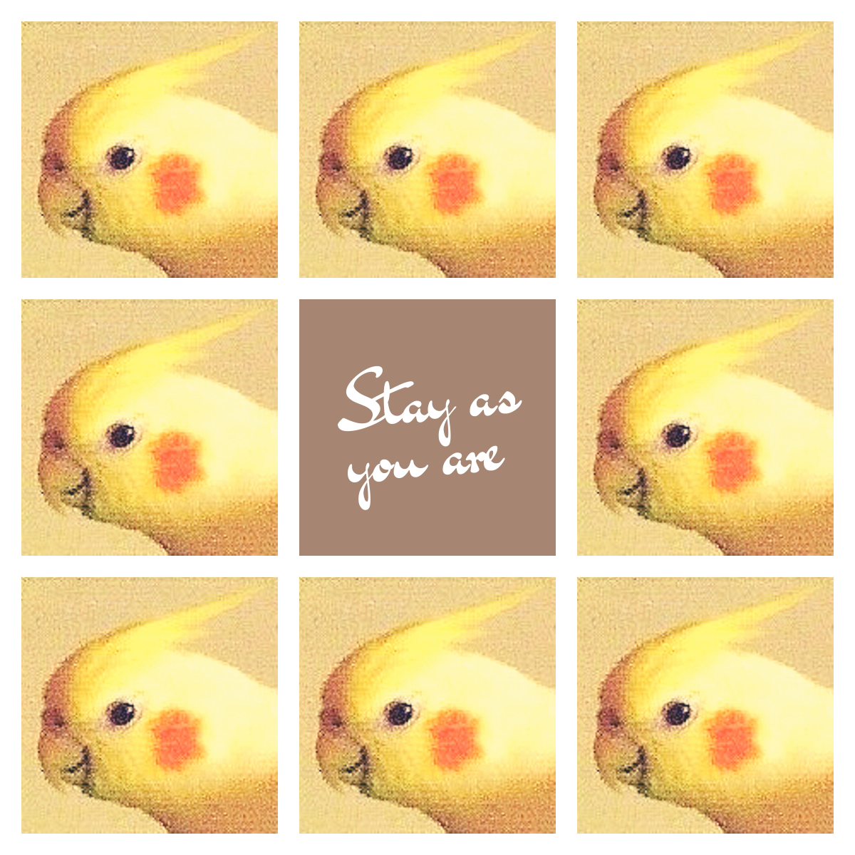 f:id:nemo_zzz:20191012072955p:plain f:id:nemo_zzz:20191012072955p:plain