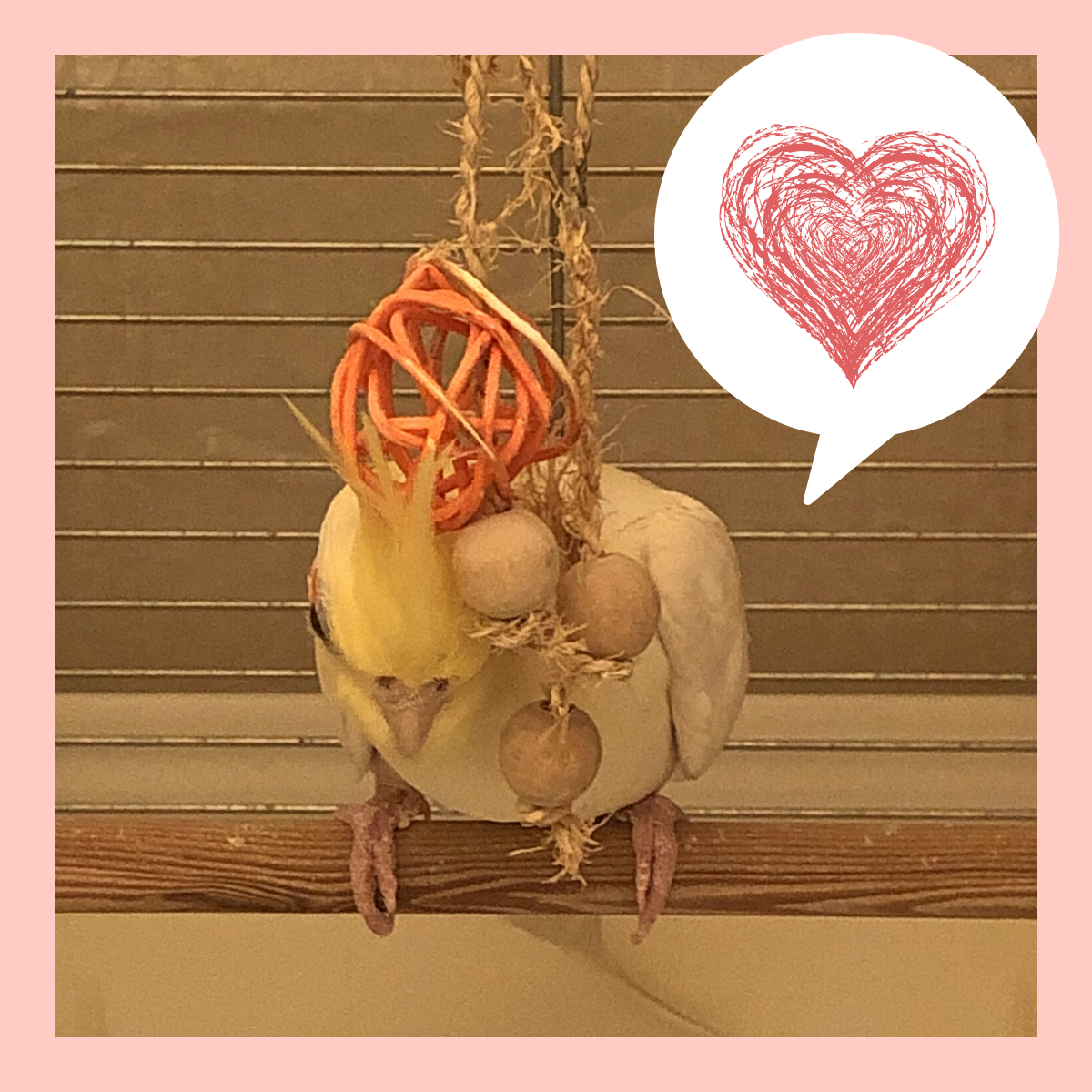f:id:nemo_zzz:20191030004454p:plain f:id:nemo_zzz:20191030004454p:plain