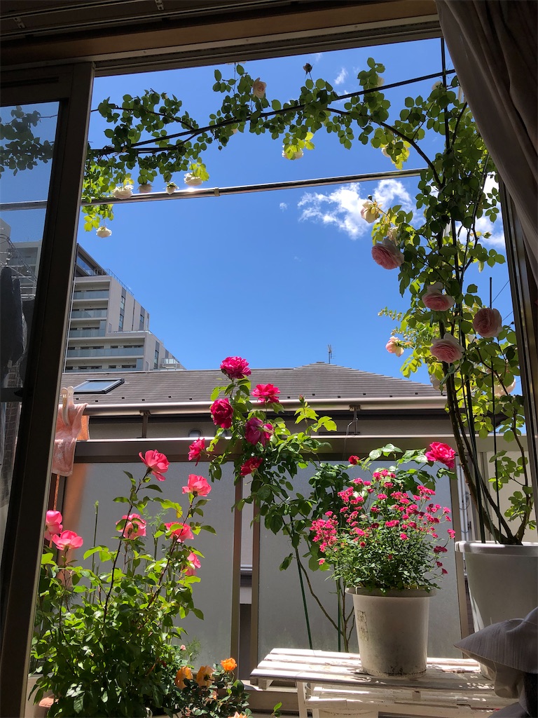 f:id:nemogon:20220528103823j:image